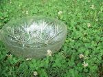 Bowl in Grass 2